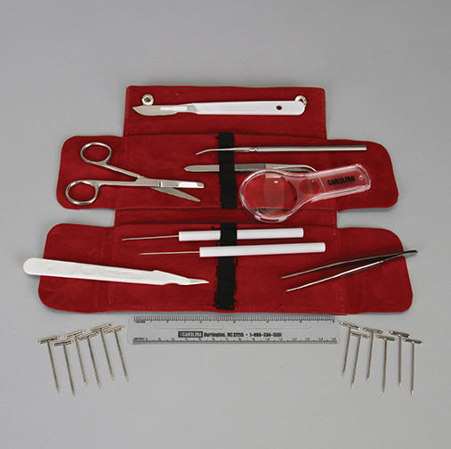 DL Advanced Dissection Set