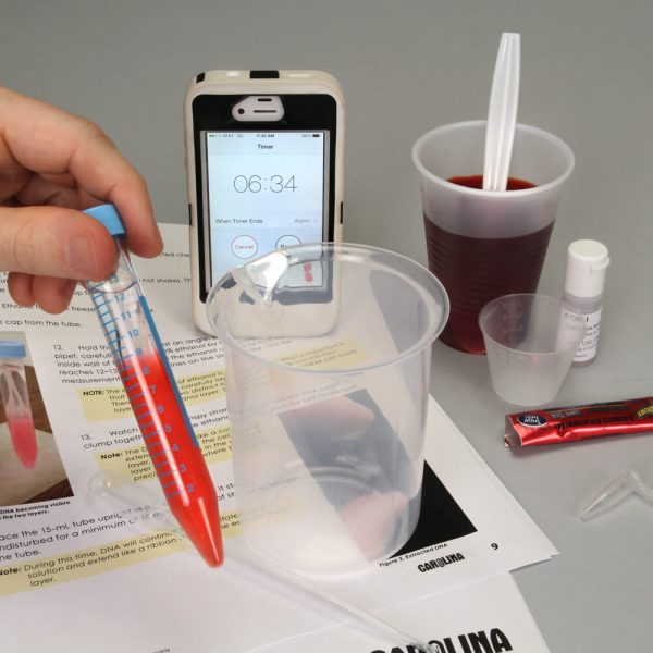DNA Extraction