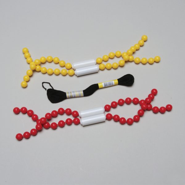Mitosis and Meiosis: A Chromosome Simulation