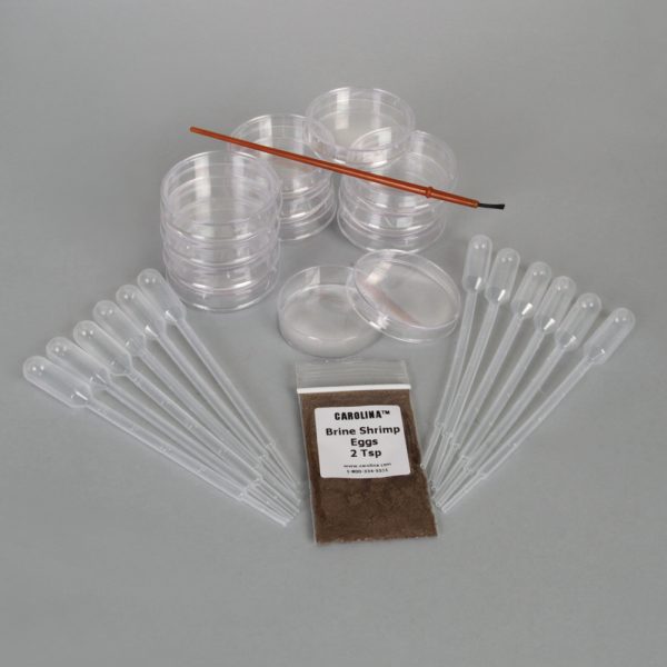 Natural Selection: Salt Concentration on Brine Shrimp