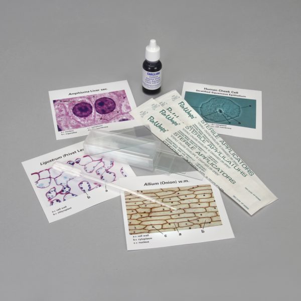 Survey of Plant and Animal Cells