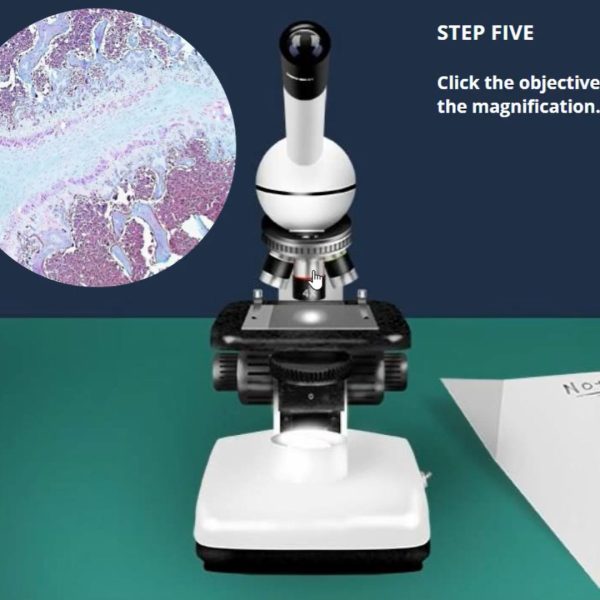 Introduction to Histology: Cartilage Virtual Lab