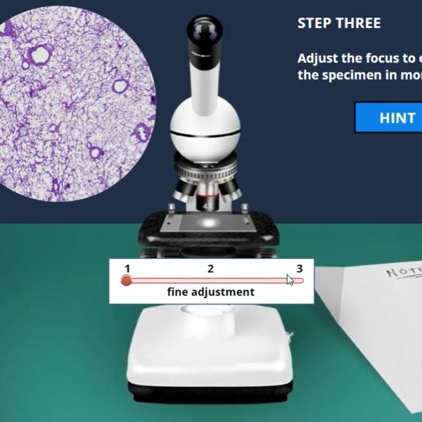 Introduction to Histology: Respiratory System Virtual
