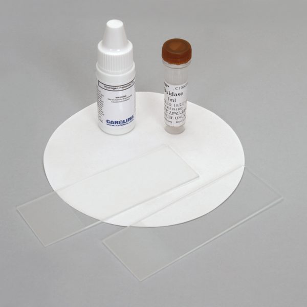 Biochemical Tests in Microbiology