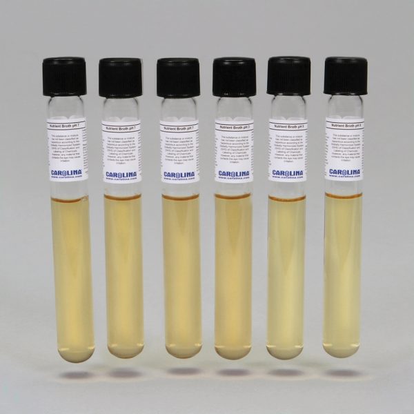 The Effect of pH on Microbial Growth