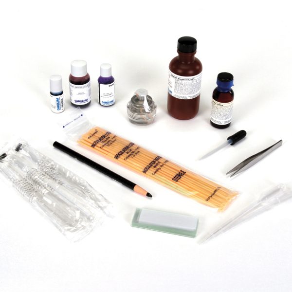 Simple and Differential Staining
