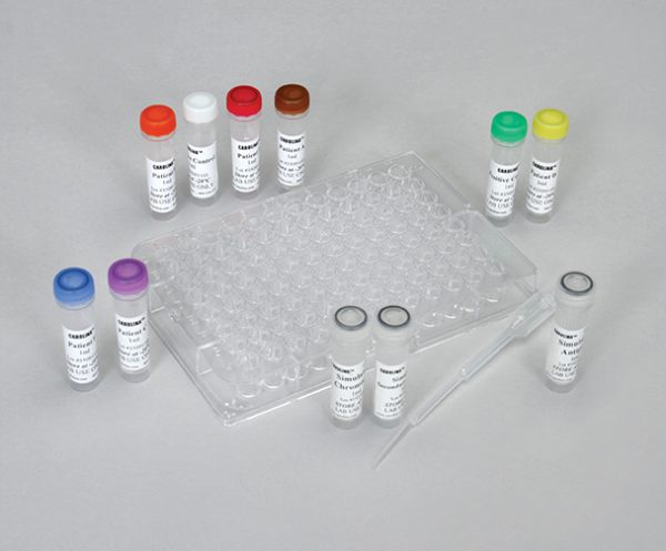 ELISA Simulation