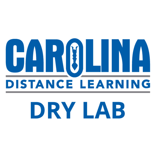 dl-dry-lab