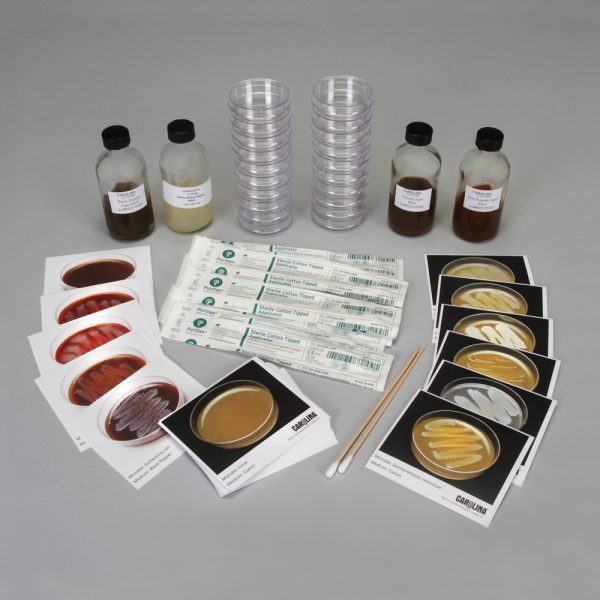 Microbial Inhibition by Spices
