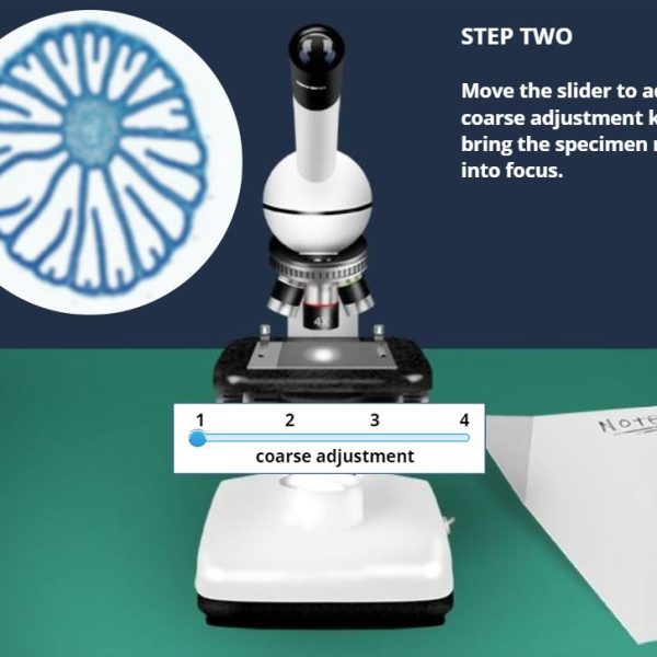 Survey of Fungi Virtual Lab