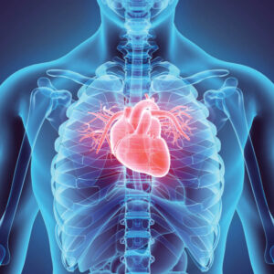 Anatomy and Physiology Kits