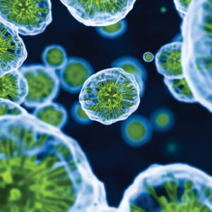 Biology Kits